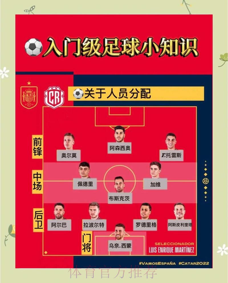 世界杯投注的稳健策略指南 世界杯投注的稳健策略指南
